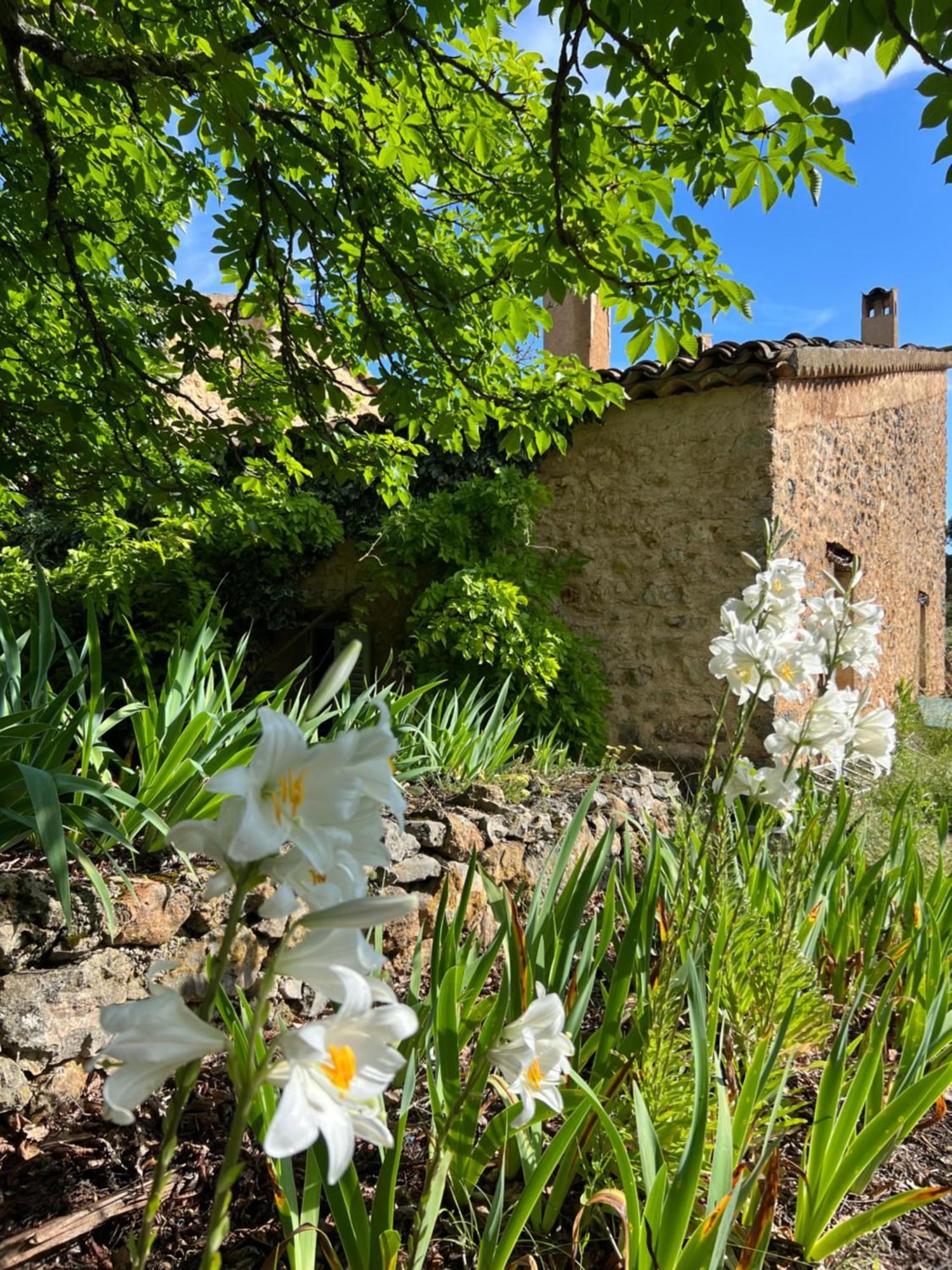 Charmant Appartement Independant Au Sein D'Un Mas Provencal Aups Εξωτερικό φωτογραφία
